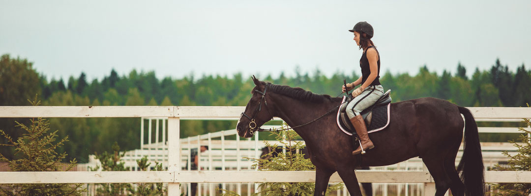 Equitation 1