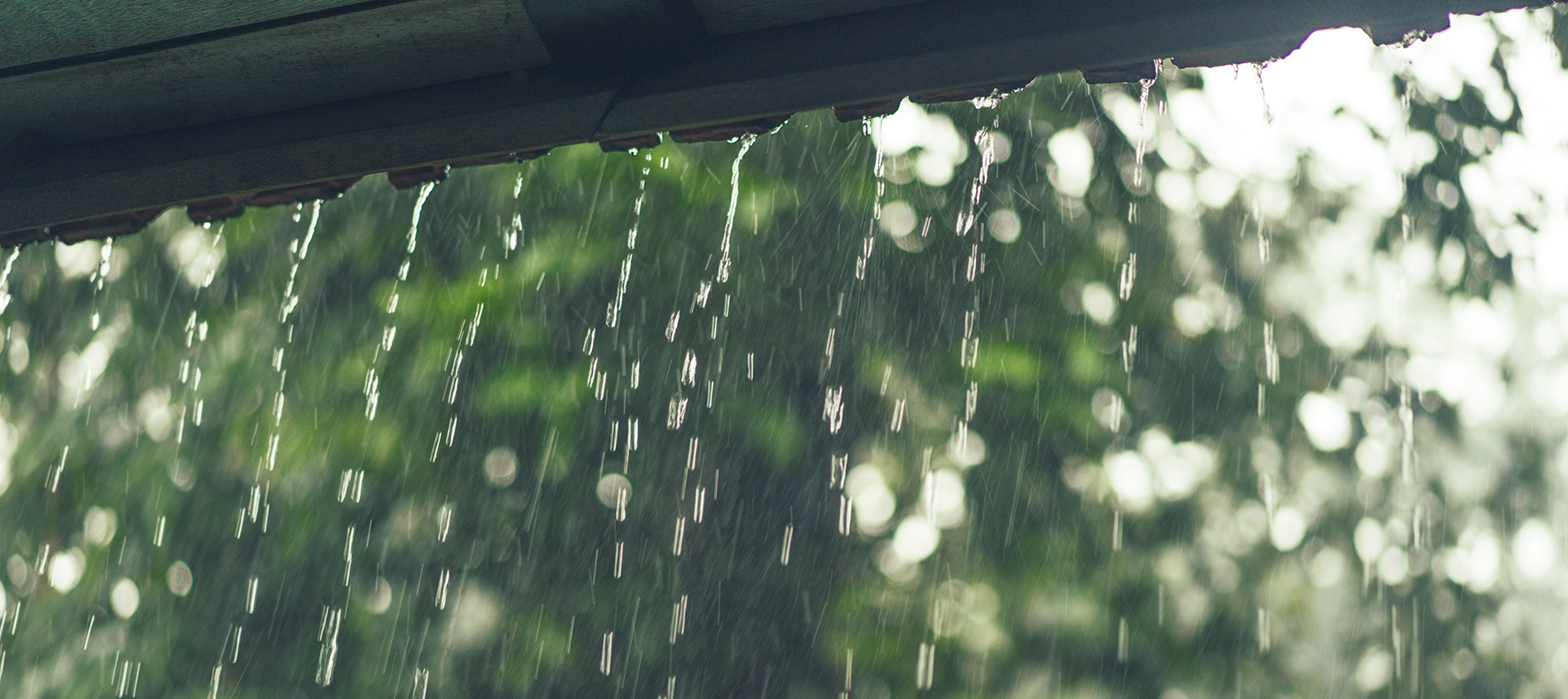 Vacances sous la pluie 1